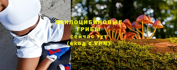 a pvp Белокуриха